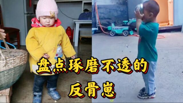 盘点琢磨不透的“蛊惑崽”,一身反骨的人类幼崽,应该如何对付?