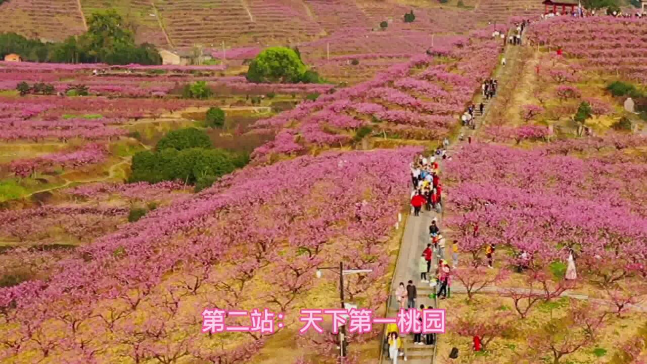 宁波市封神级赏花线路