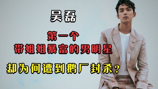 吴磊是第一个带姐姐暴富的男明星,却为何遭到鹅厂封杀?