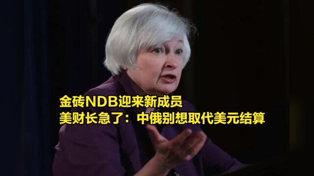 金砖NDB迎来新成员,美财长又气又急:中俄别想取代美元结算