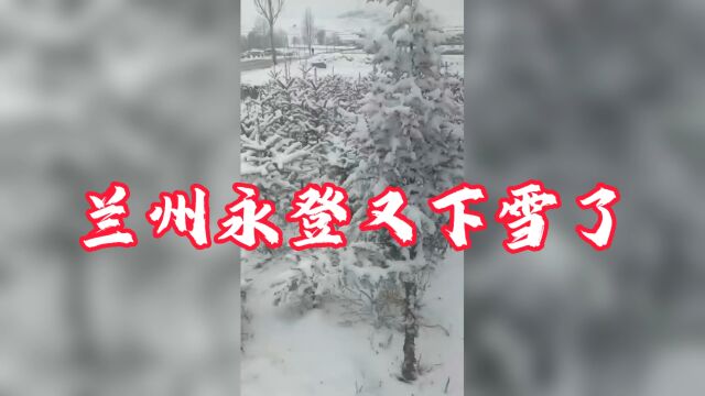 2023.3.24兰州永登又下雪了,一片白色的世界