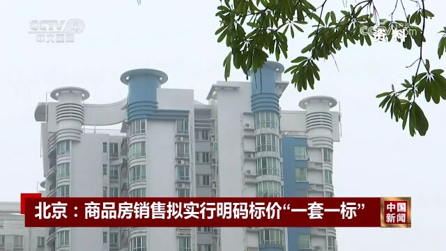 北京:商品房销售拟实行明码标价“一套一标”