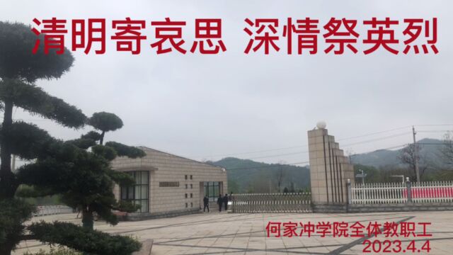 “清明寄哀思 深情祭英烈”主题党日活动