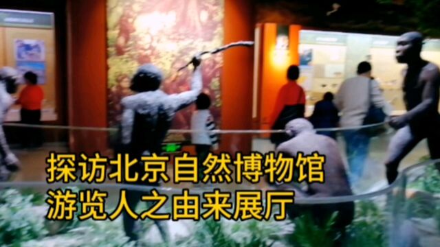 实地探访北京自然博物馆,游览人之由来展厅