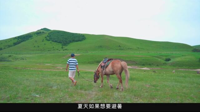 我在北京周边,找到一个夏天只有17Ⱗš„避暑地——中国马镇旅游度假区