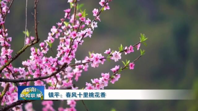 南阳镇平:春风十里桃花香