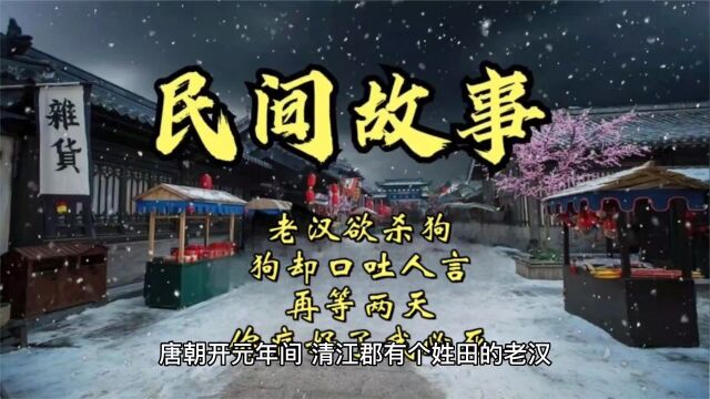 民间故事:老汉欲杀狗,狗却口吐人言:再等两天,你病好了我必死