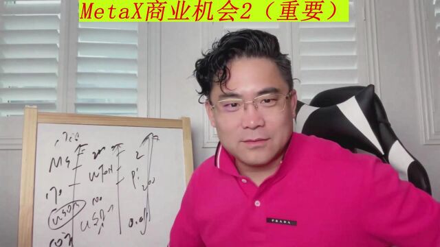 MetaX商业模型深度讲解20230321(二)