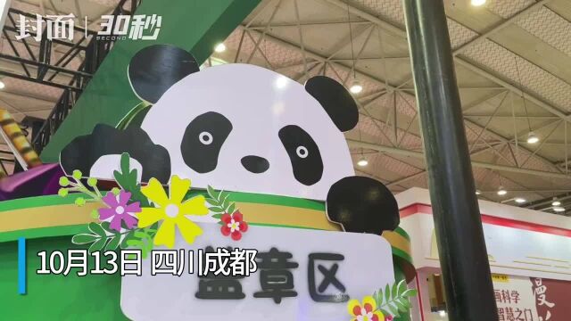 来天府书展开启“集章”之旅 这些精美的印章你想拥有吗?