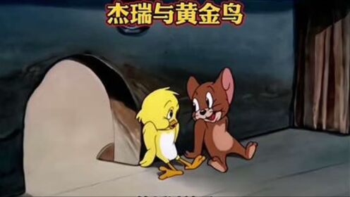 第11集 _ 杰瑞和黄金鸟一起戏耍汤姆#猫和老鼠 #怀旧动画