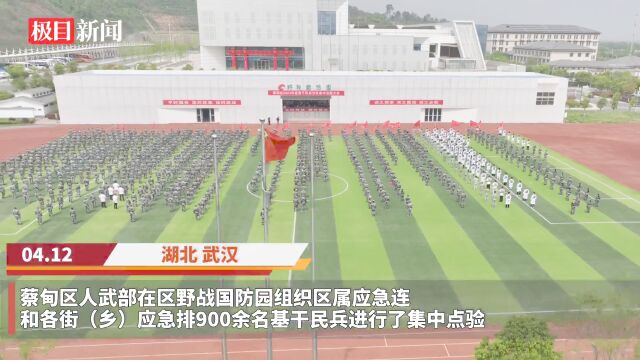 【视频】武汉蔡甸区开展基干民兵集中点验