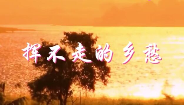 《挥不走的乡愁》 作词:黄开晨 作曲:陈洪美 演唱:梁威