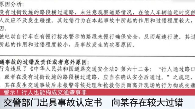 交警部门出具事故认定书,向某存在较大过错