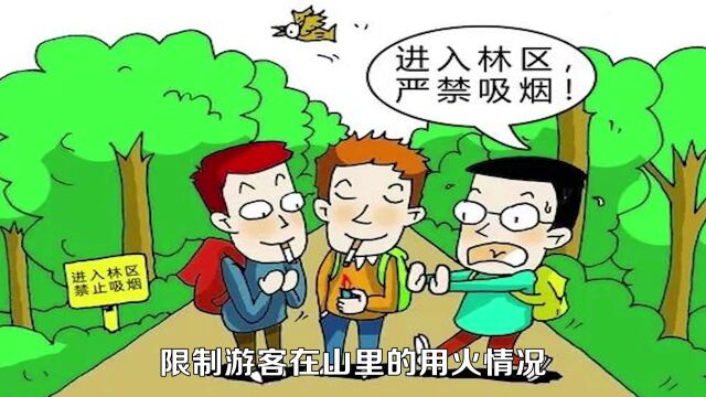 人工降雨是如何实现的?森林火灾能用人工降雨吗?涨知识了