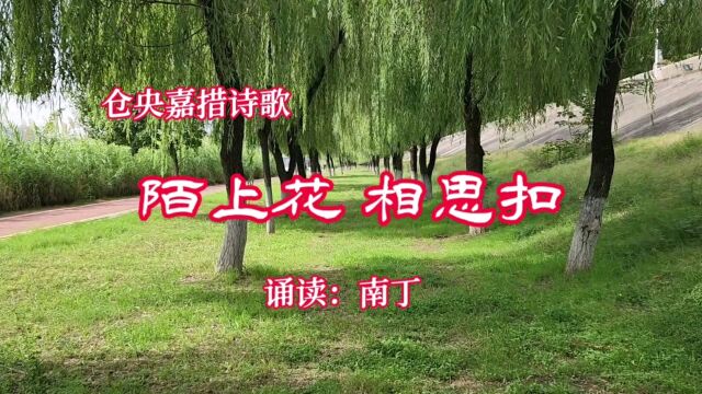 仓央嘉措诗歌《陌上花相思扣》诵读:南丁