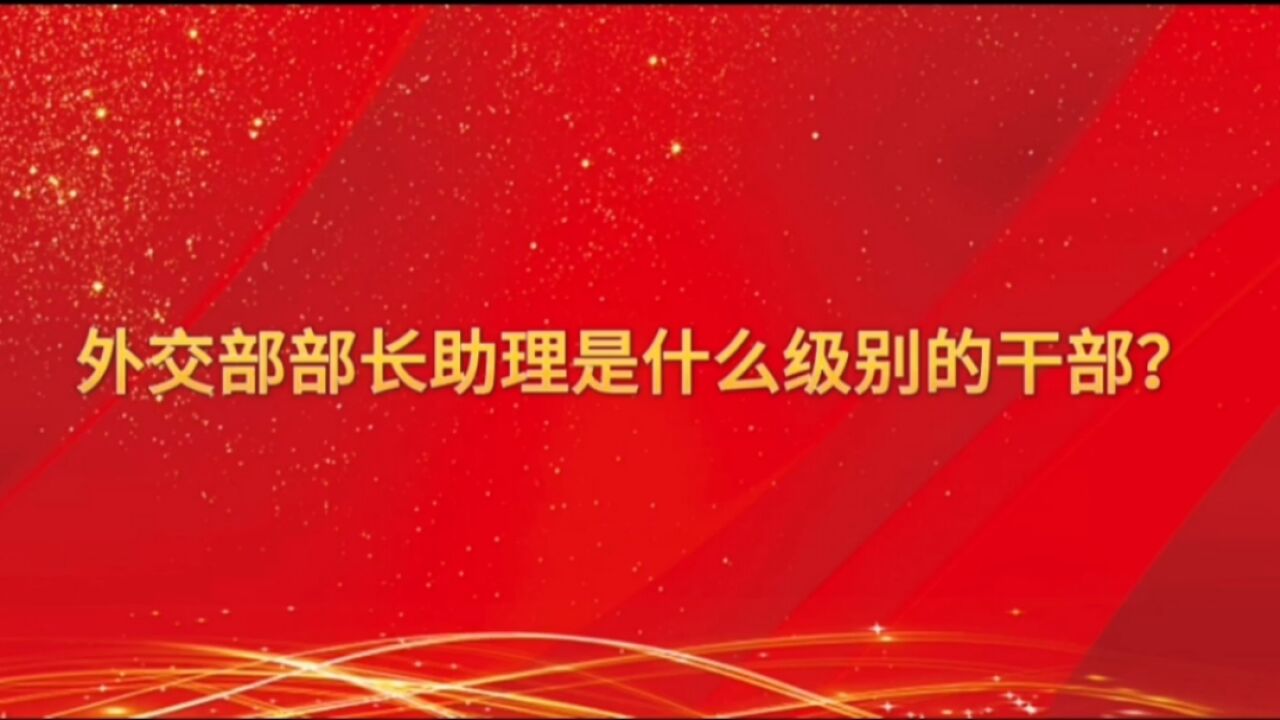 外交部部长助理是什么级别?