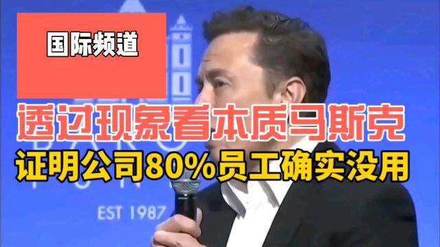 马斯克在推特的改革证明,事实上80%的员工,确实是没用的