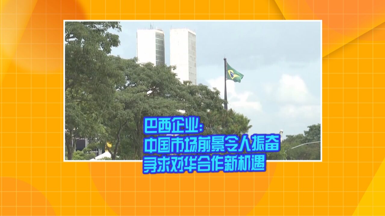 巴西企业:中国市场前景令人振奋 寻求对华合作新机会