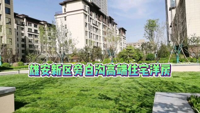 雄安新区旁白沟高端住宅//凤凰华府洋房社区