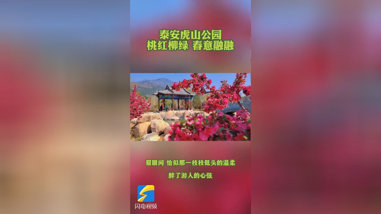 泰安虎山公园:桃红柳绿 春意融融