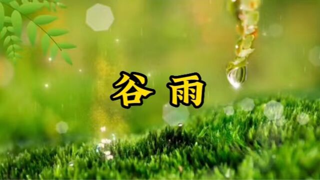 谷雨的来历是什么?又有哪些风俗呢?看完就懂了