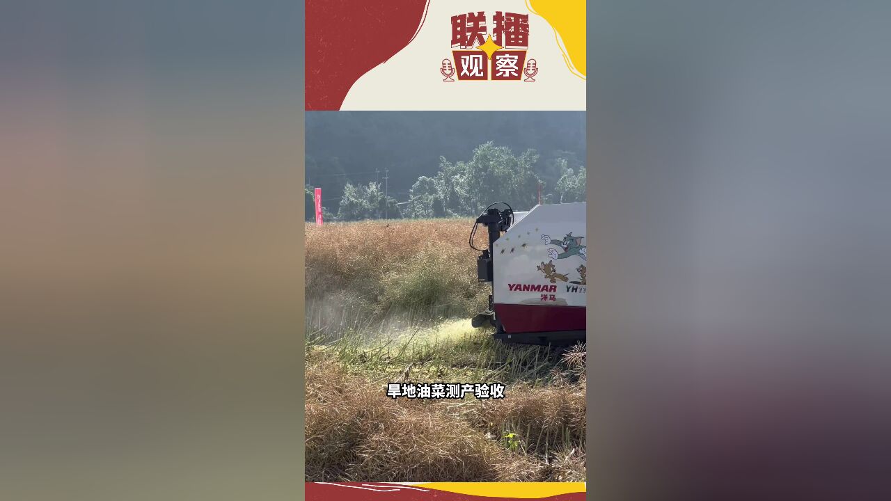 联播观察丨你爱的川派美食没它不行