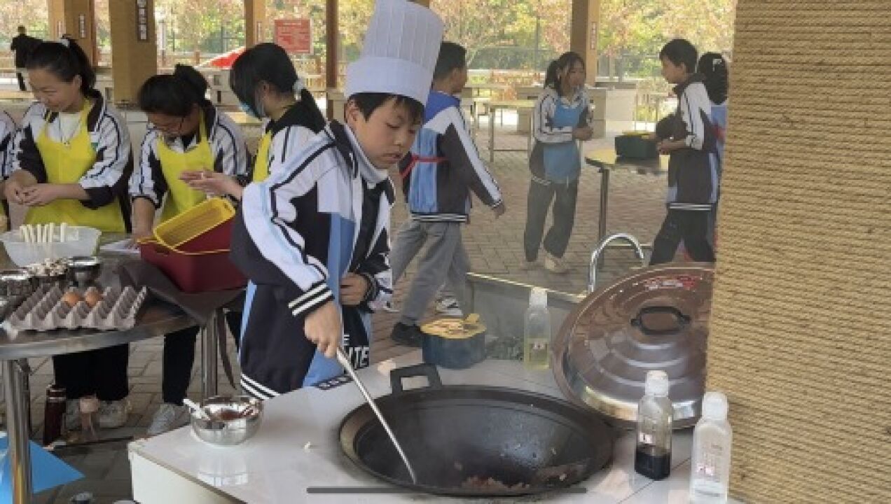 秦岭江山研学实践教育基地开园,大荆中学师生前来体验