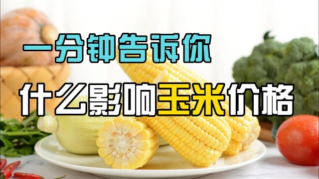 一分钟告诉你什么影响玉米价格