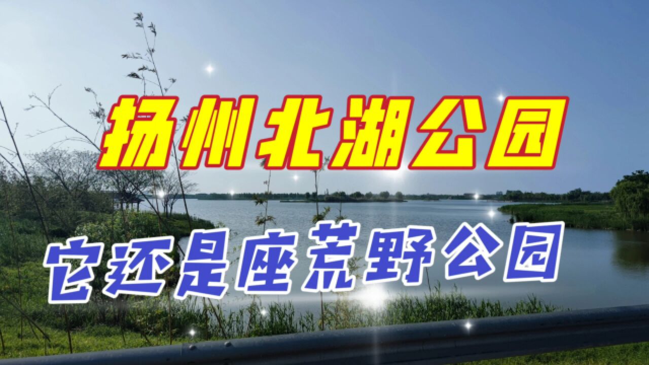 扬州北湖公园,它的面积真的很大,乘坐景交车就像驶入荒野大世界