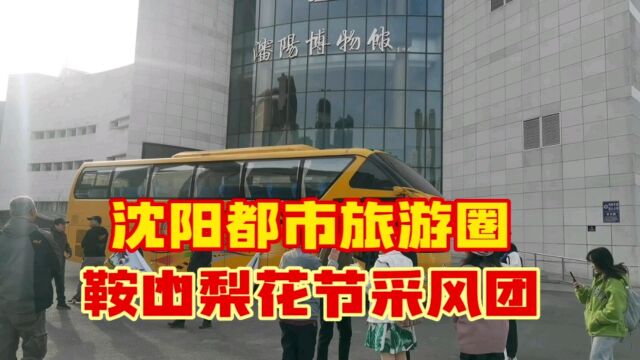 鞍山梨花节开幕,沈阳都市旅游圈采风团,媒体达人组团助兴