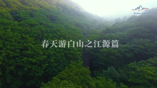 春天来这里旅游吧!