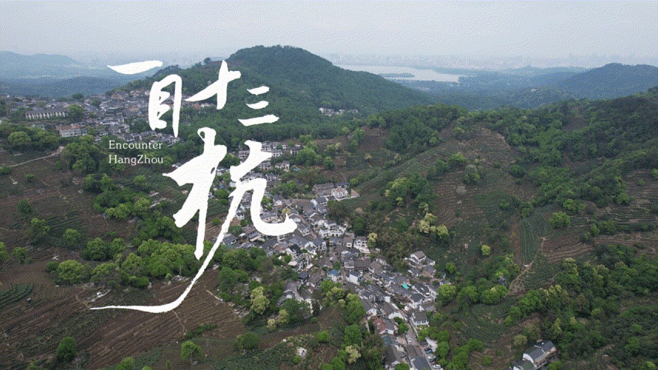 西湖风景名胜区乾龙路:一叶龙井清香 古村迎客八方