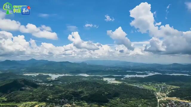 【视频】同饮一江水,共建绿美林!河源启动“绿美广东ⷤ𝠦ˆ‘共建——我在万绿湖有棵树”系列活动