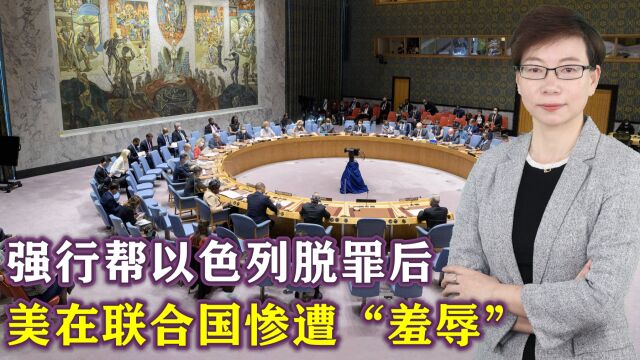 美国代表在联合国遭“羞辱”:发言时多名与会者起立背过身无声抗议