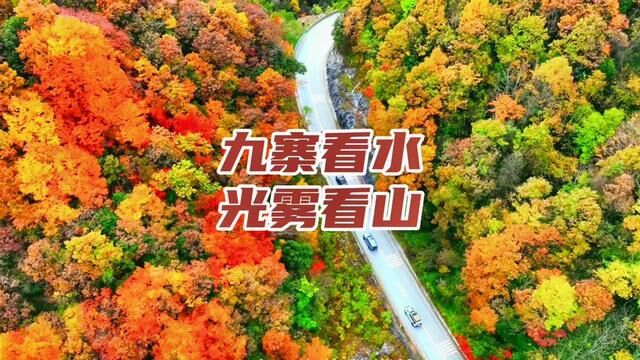 九寨看水光雾看山,这里是中国红叶第一山光雾山#自驾游 #旅行攻略 #满山遍野映山红