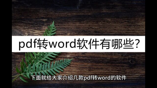 pdf转word软件有哪些?这几款简单好用