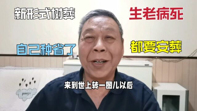 人生老病死都要安葬,一个位70w,新形式树葬,自己种颗更省