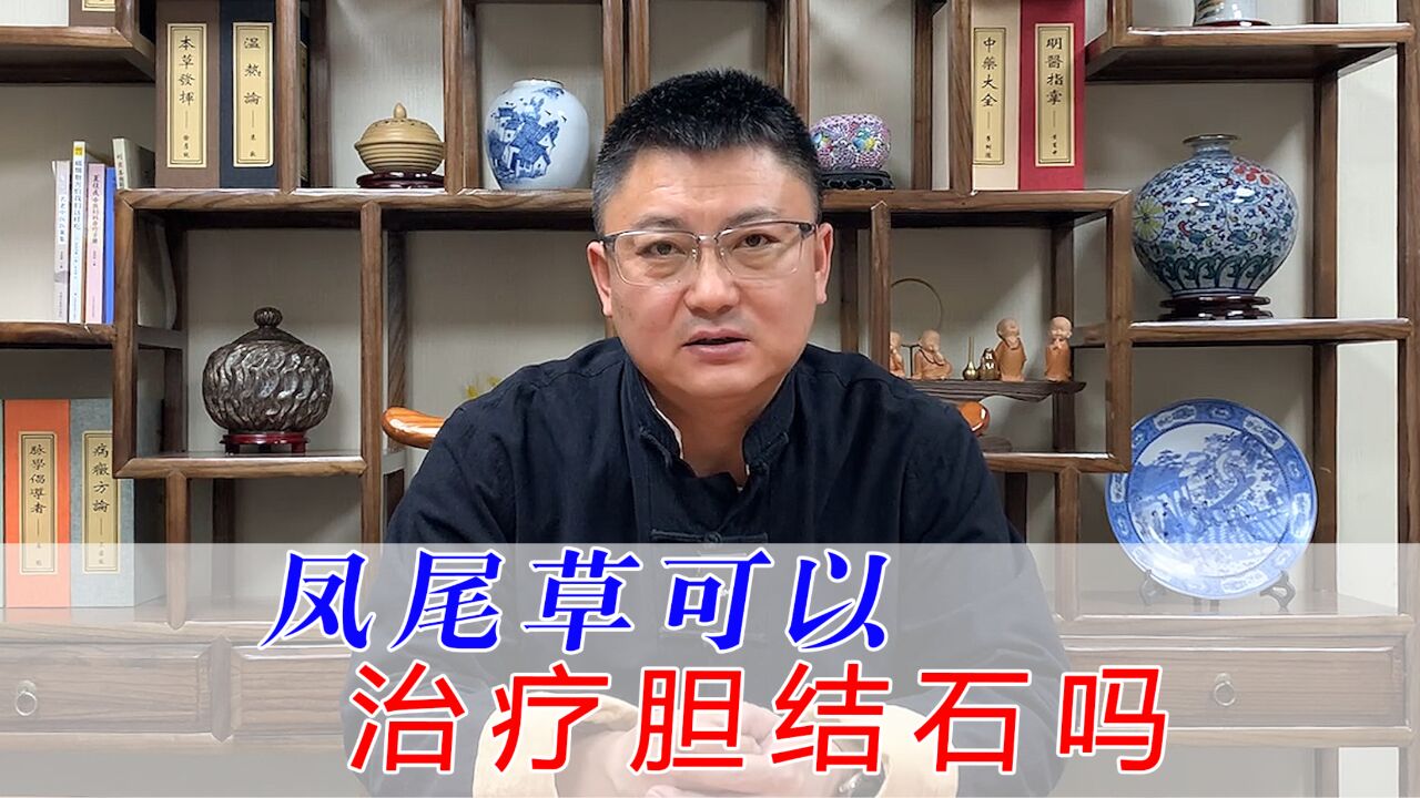 凤尾草可以治疗胆结石吗?主要用来治疗什么?