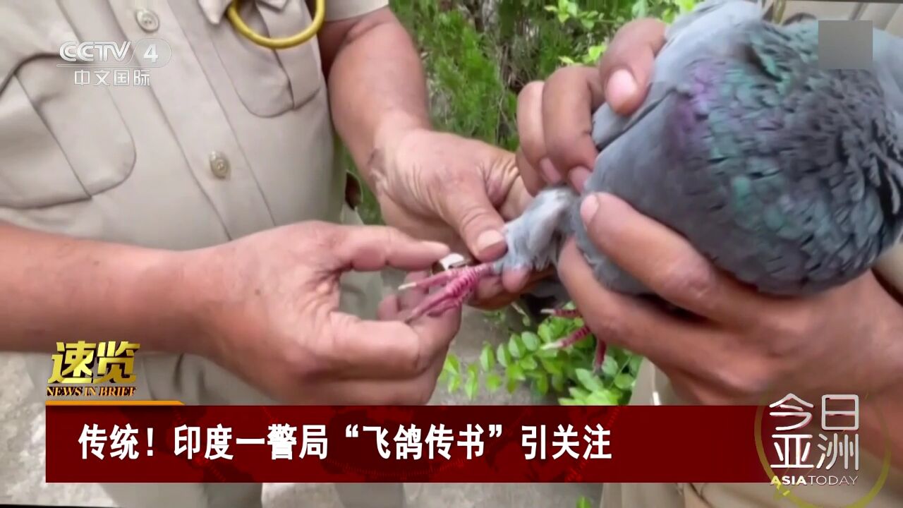 传统!印度一警局“飞鸽传书”引关注