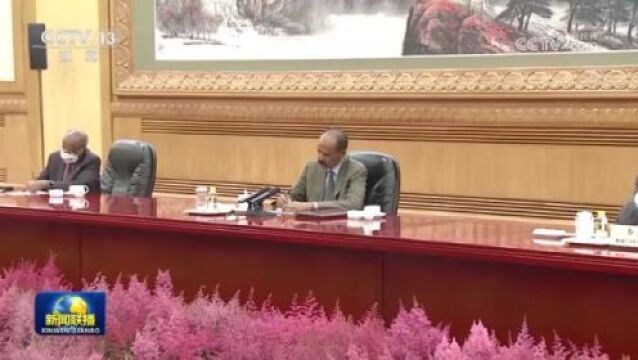 习近平同厄立特里亚总统举行会谈