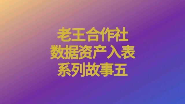 老王合作社数据资产入表系列故事五