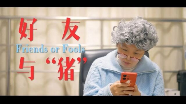 反电信网络诈骗 | “产品代理”套路深,谨防电信诈骗!