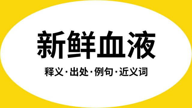 “新鲜血液”是什么意思?