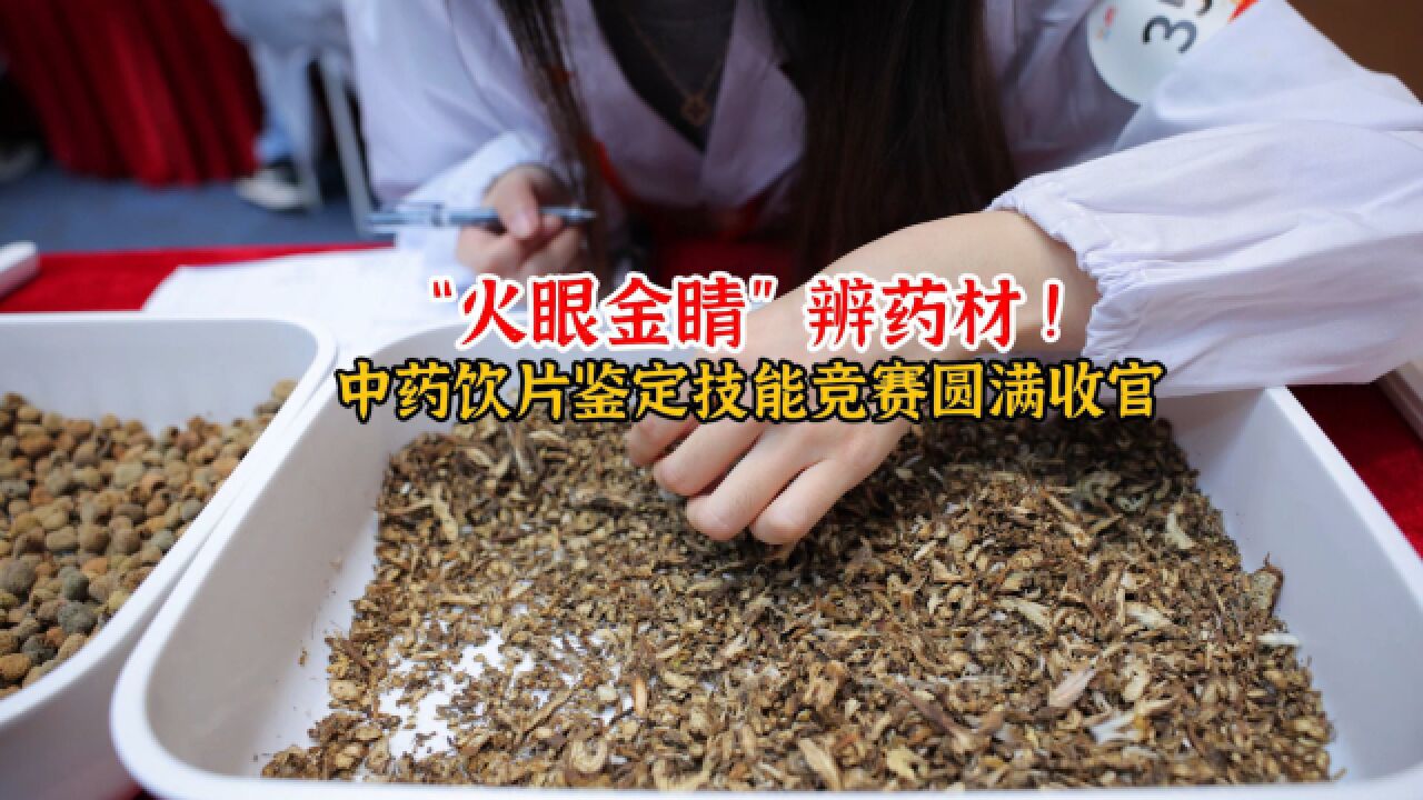 晶视频丨“火眼金睛”辨药材!中药饮片鉴定技能竞赛圆满收官