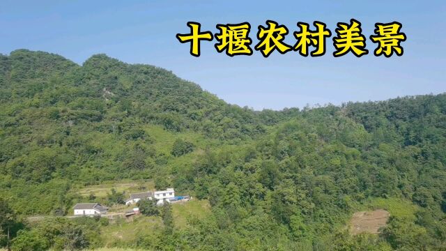 回不去的农村,留不住的故乡,没想到漂亮迷人的美丽风景令人震撼