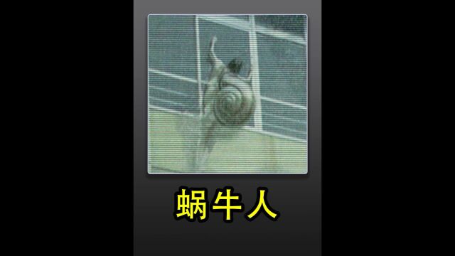 蜗牛人𐟐Œ整个村庄的人都变成了螺旋状𐟘𑰟𖰟𖰟𖀀