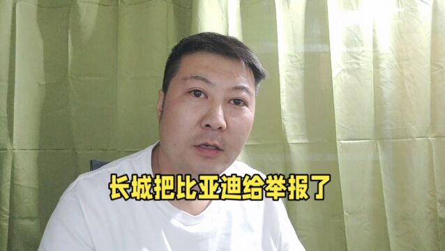 长城把比亚迪给举报