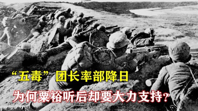 1943年,“五毒”团长率部降日,为何粟裕听后却要大力支持