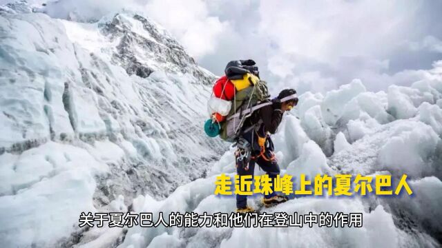 走近雪山上的夏尔巴人