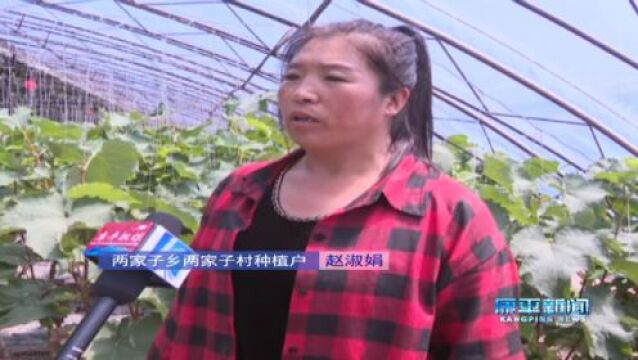 三年行动首战之年——康平县擂响战鼓 蓄力突破⑤ | 全面推进 续写康平乡村振兴新篇章